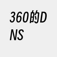 360的DNS