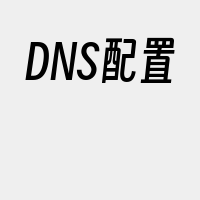DNS配置