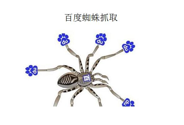 域名蜘蛛池出租：提高网站爬虫效率的神器